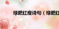 綠肥紅瘦詩句(綠肥紅瘦的意思)