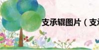 支承輥圖片(支承輥)