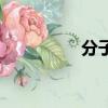 分子式的計算（分子式）