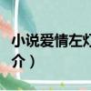 小說愛情左燈右行（關于小說愛情左燈右行簡介）