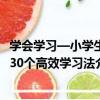 學會學習—小學生30個高效學習法（關于學會學習—小學生30個高效學習法介紹）