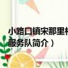 小路口鎮宋那里村志愿服務隊（關于小路口鎮宋那里村志愿服務隊簡介）