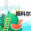 斯科爾斯天下足球（斯科爾斯）