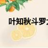 葉知秋斗羅大陸結局（葉知秋 斗羅大陸）