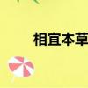 相宜本草平衡潤澤爽膚水（it技能）