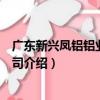 廣東新興鳳鋁鋁業有限公司（關于廣東新興鳳鋁鋁業有限公司介紹）