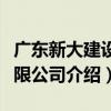 廣東新大建設有限公司（關于廣東新大建設有限公司介紹）