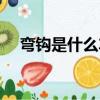 彎鉤是什么車的標志（彎鉤是什么意思）