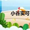 小谷實可子（關于小谷實可子簡介）