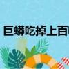 巨蟒吃掉上百噸大青蛙什么電影（巨蟒吃人）