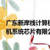 廣東新岸線計算機系統芯片有限公司（關于廣東新岸線計算機系統芯片有限公司介紹）