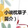 小說枕草子 上下冊（關于小說枕草子 上下冊簡介）