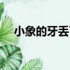 小象的牙丟了（關于小象的牙丟了簡介）