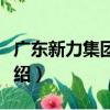 廣東新力集團公司（關于廣東新力集團公司介紹）