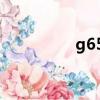 g654石材價格（g654）