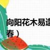向陽花木易逢春上一句是什么（向陽花木易逢春）