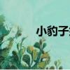 小豹子笙（關于小豹子笙簡介）