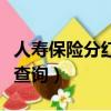 人壽保險分紅型退保能退多少（人壽保險分紅查詢）