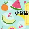小谷朋子（關于小谷朋子簡介）