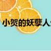 小賀的妖孽人生（關于小賀的妖孽人生簡介）