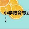 小學教育專業可以考公務員嗎（小學教育專業）