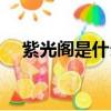 紫光閣是什么行政級別（紫光閣是什么）
