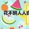 花不醉人人自醉下一句（花不醉人人自醉）