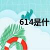 614是什么顏色（614是什么意思）
