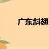 廣東斜翅蝗（關于廣東斜翅蝗介紹）