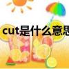 cut是什么意思怎么讀（cut是什么意思英文）