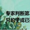 專家判斷第3只豹子或已死亡（專家判斷第3只豹子或已死亡）