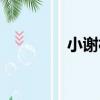 小謝村（關于小謝村簡介）