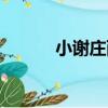 小謝莊西（關于小謝莊西簡介）