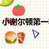 小謝爾頓第一季（關于小謝爾頓第一季簡介）