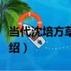 當代沈培方草書軸（關于當代沈培方草書軸介紹）