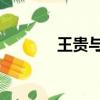 王貴與安娜吃飯（王貴 岳飛）