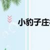 小豹子莊村（關于小豹子莊村簡介）