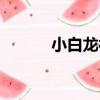 小白龍被打視頻（小白龍被打）