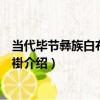 當代畢節彝族白布對襟馬褂（關于當代畢節彝族白布對襟馬褂介紹）