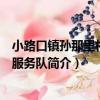 小路口鎮孫那里村志愿服務隊（關于小路口鎮孫那里村志愿服務隊簡介）