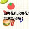 白梅花和玫瑰花泡水喝能消結節嗎（白梅花和玫瑰花泡水喝能消結節嗎）