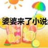 婆婆來了小說結局續寫（婆婆來了小說結局）
