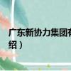 廣東新協力集團有限公司（關于廣東新協力集團有限公司介紹）