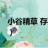小谷精草 存疑種（關于小谷精草 存疑種簡介）