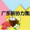 廣東新協力集團（關于廣東新協力集團介紹）