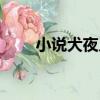 小說犬夜叉（關于小說犬夜叉簡介）