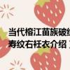 當代榕江苗族破線繡壽紋右衽衣（關于當代榕江苗族破線繡壽紋右衽衣介紹）