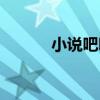 小說吧吧（關于小說吧吧簡介）