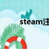 steam注冊期間錯誤的驗證碼響應