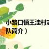 小路口鎮王洼村志愿服務隊（關于小路口鎮王洼村志愿服務隊簡介）